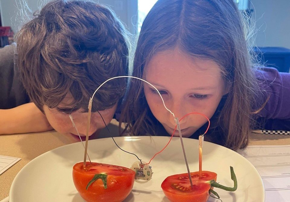 Homeschool science experiment